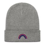 Bisexuell (Horizon) Beanie - recyceltes Polyester