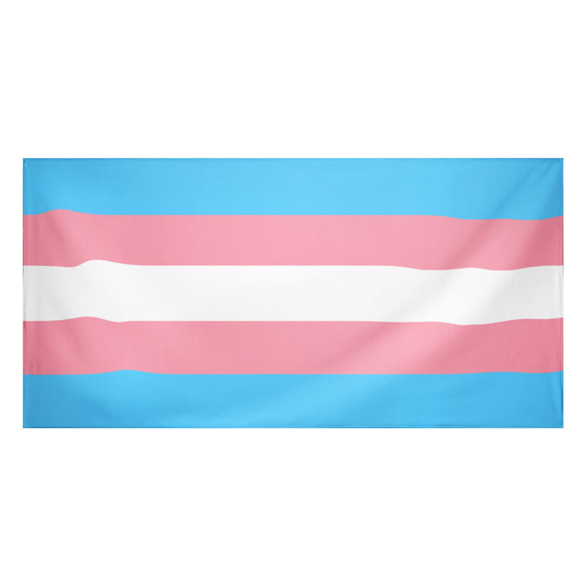 Trans* Flagge/Fahne